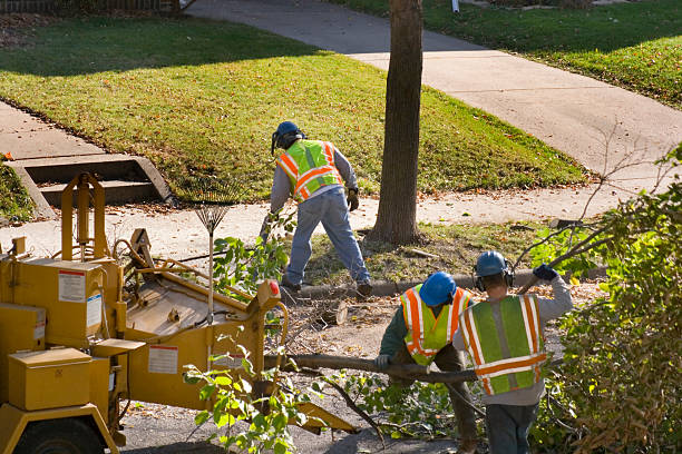 Lawn Drainage Solutions in Panama City Beach, FL